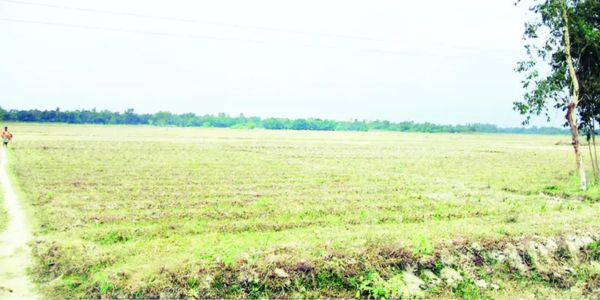 সীতাকুণ্ডে পাঁচ হাজার হেক্টর জমিতে হচ্ছে না বোরো চাষ 